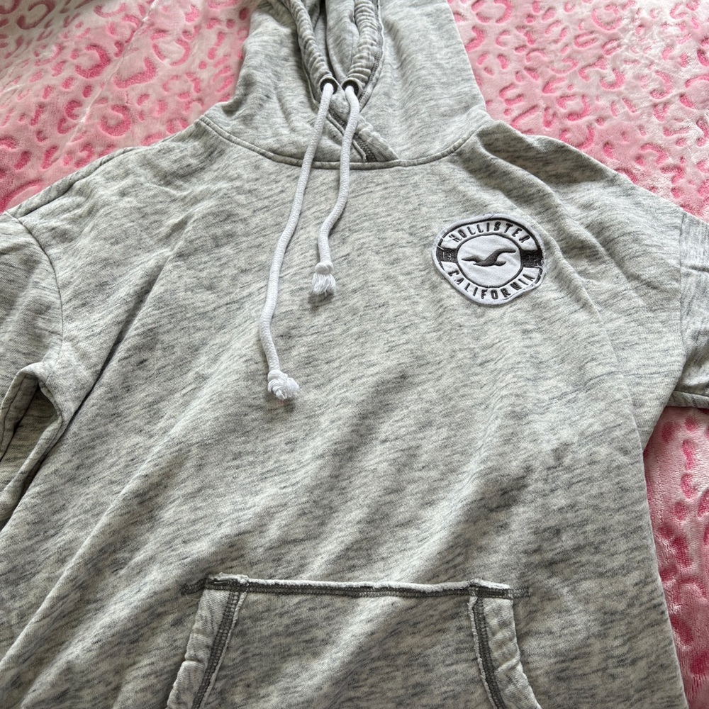 Hollister Hoodie